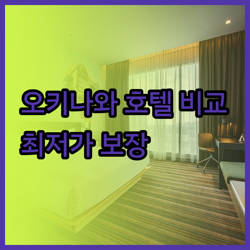오키나와 여행 필수 정보 리콤 크리스