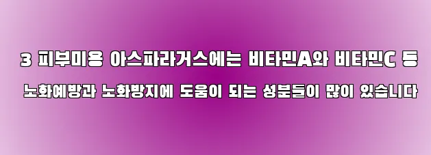  3 피부미용 아스파라거스에는 비타민A와 비타민C 등 노화예방과 노화방지에 도움이 되는 성분들이 많이 있습니다