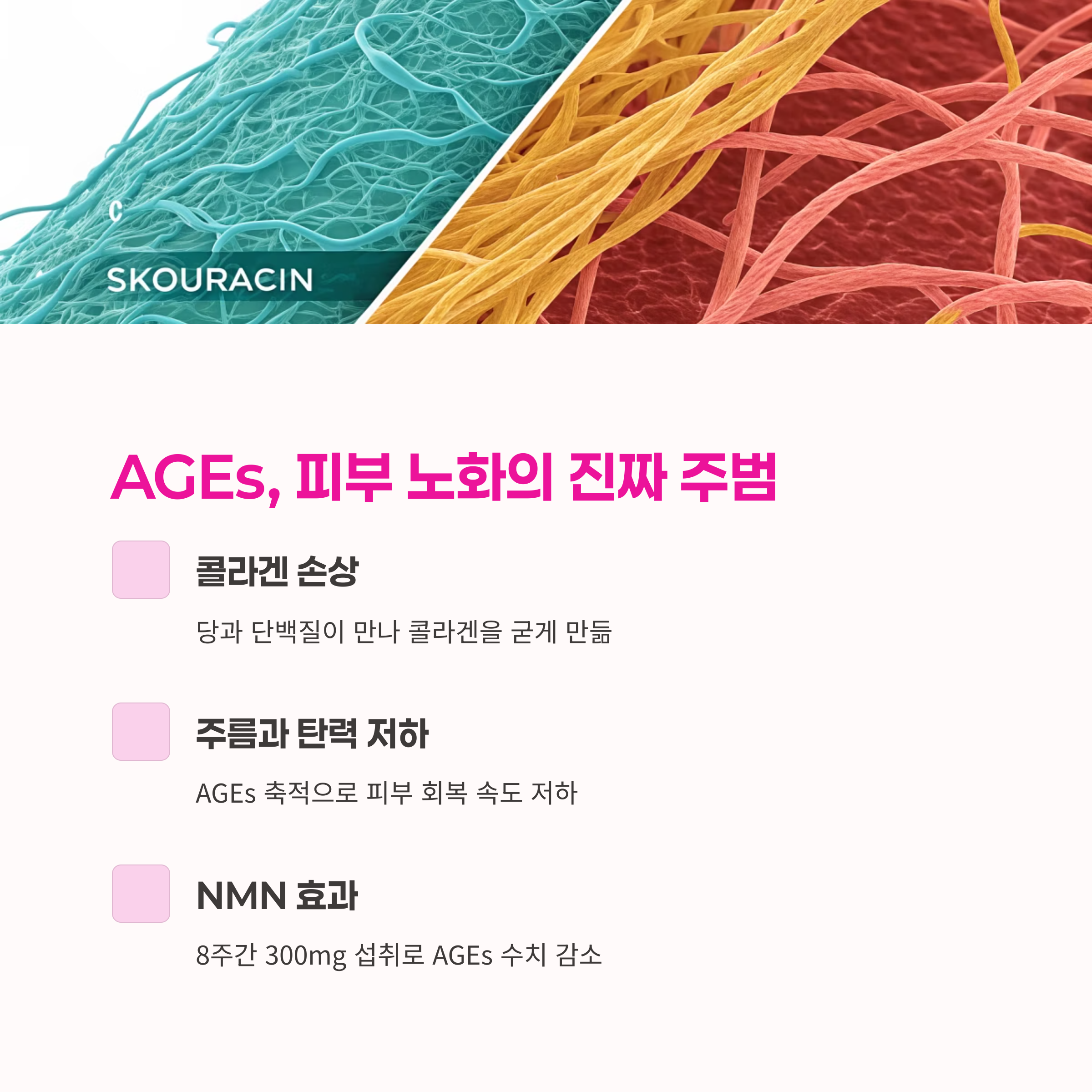 AGEs억제,