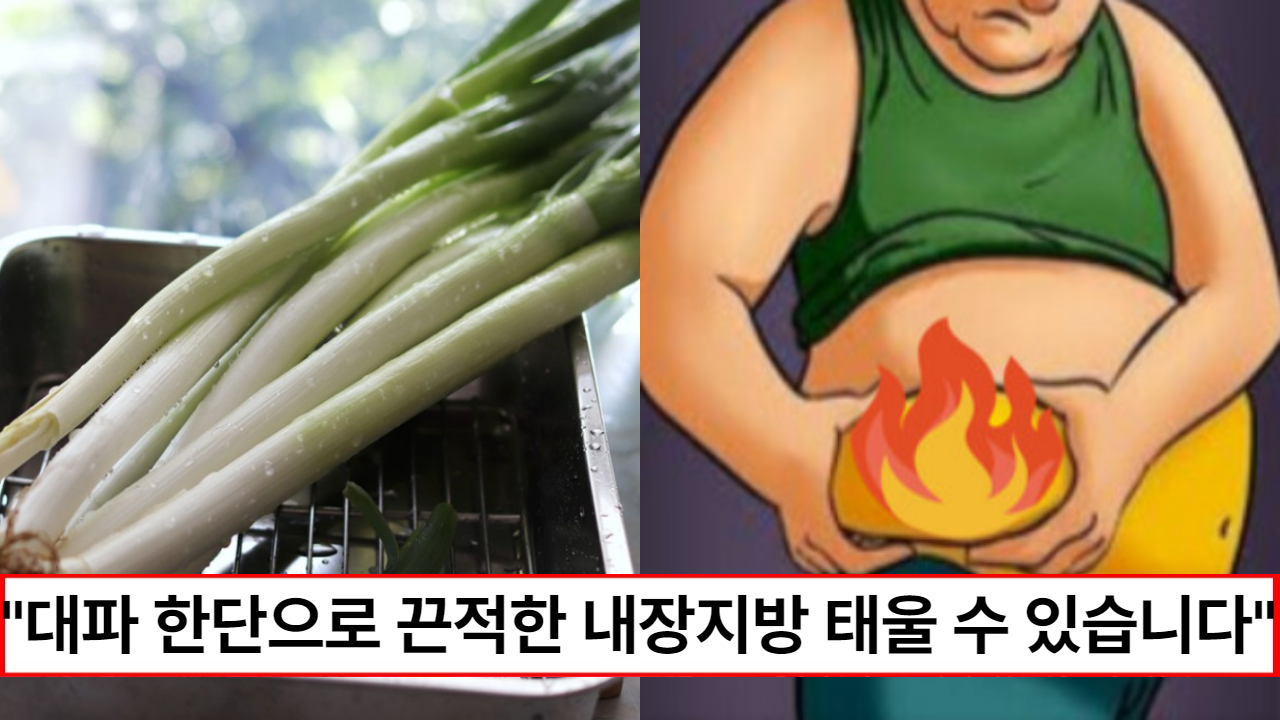 "매일 딱 한번만 드세요" 대파 한 단만 있으면 복부에 쌓인 끈적한 내장지방을 빠르게 불태워 줍니다.