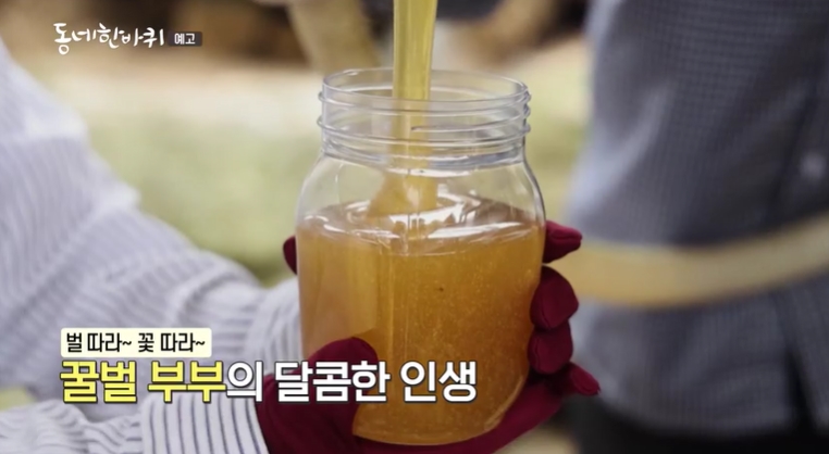 동네한바퀴-인제-꿀벌가족-양봉장