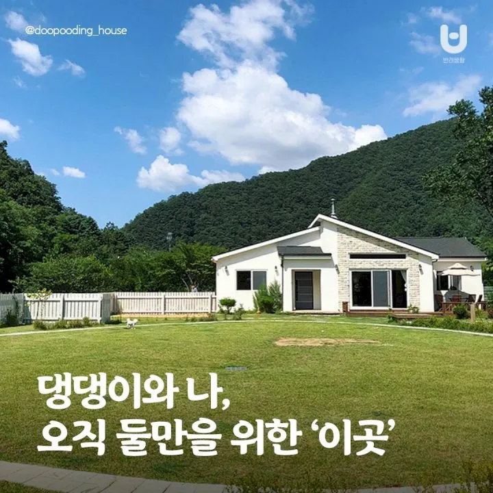 전국 애견동반 펜션 추천 목록 10곳 반려견 동행 휴식 여행_8