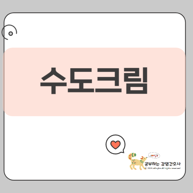 수도크림 성분과 효과 총정리, 효능과 성분 제대로 파헤치기