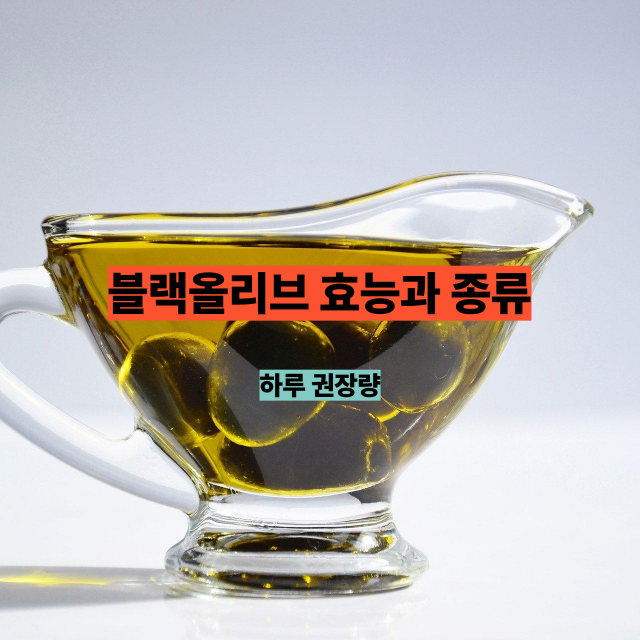 블랙올리브 효능과 종류, 하루 권장량까지 한 번에 정리!