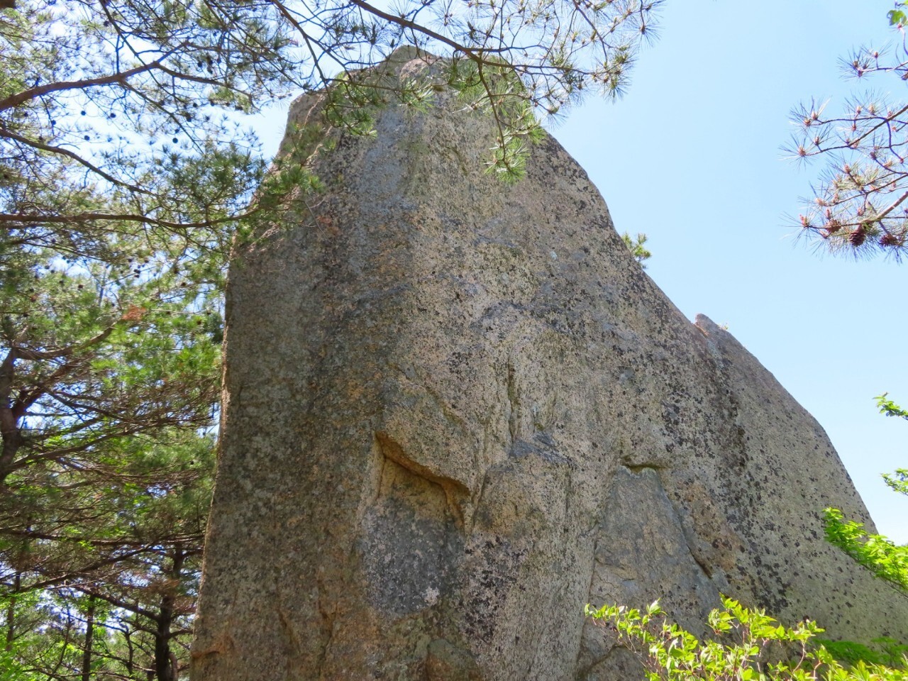 블랙야크 100+, Y출렁다리, 39