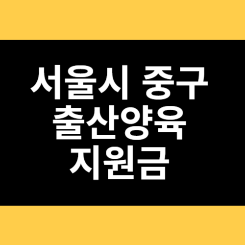 서울시 중구 출산양육 지원금 썸네일