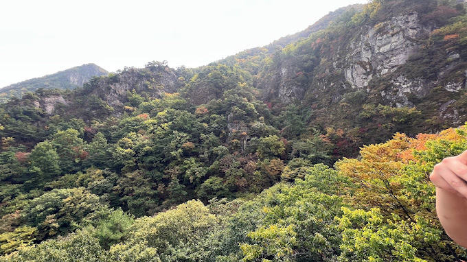 케이블카