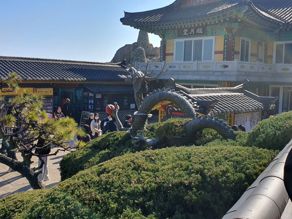 황금돼지 대표 사진