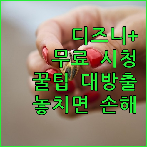야! 디즈니플러스 공짜로 보는 방법 