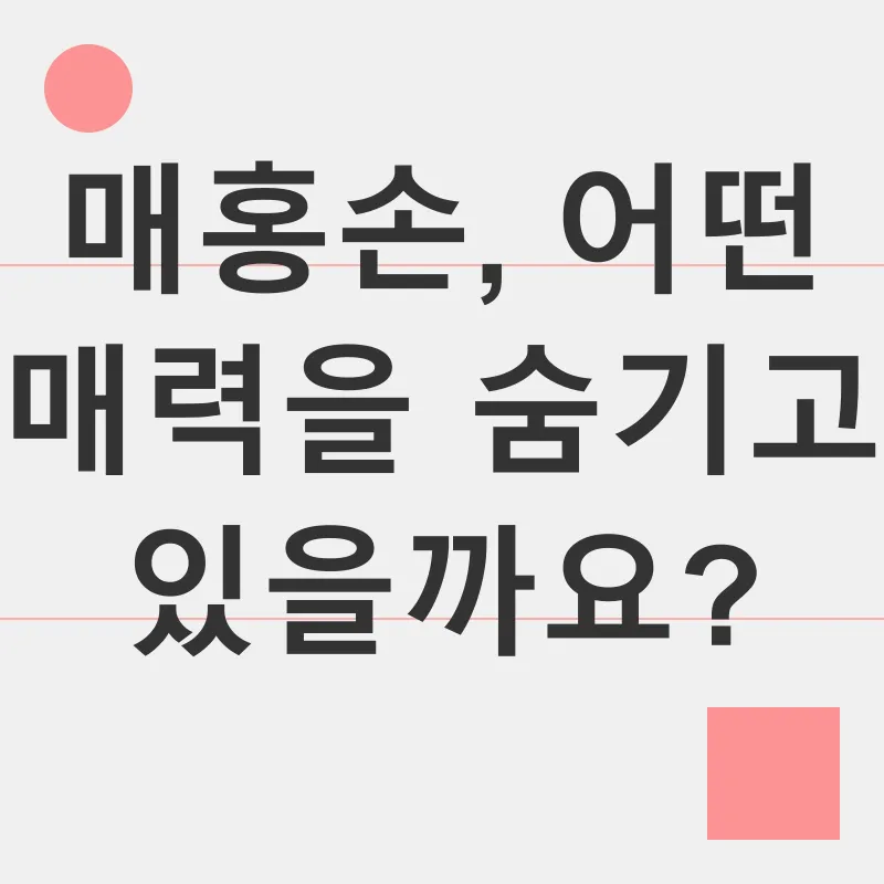 매홍손 여행_1