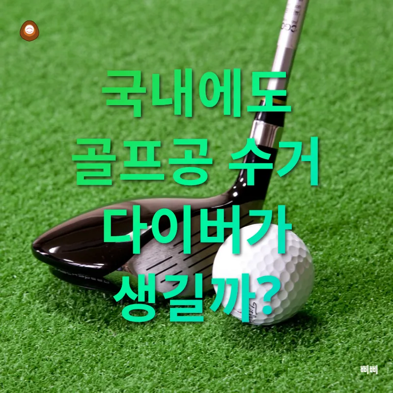 골프공 수거 다이버_3