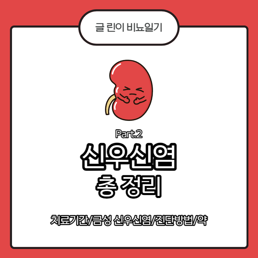  신우신염 총 정리 Part.2 : 치료기간/급성 신우신염/진단방법/약