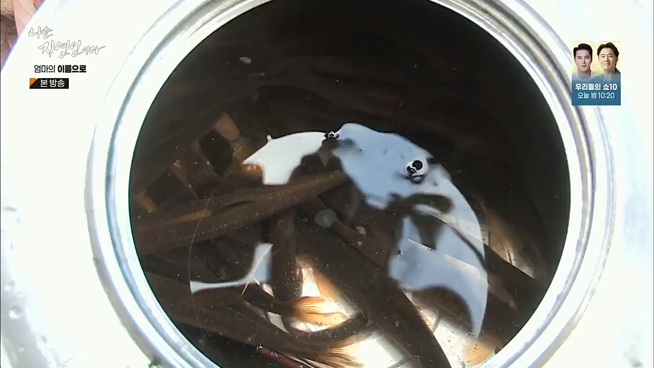 나는 자연인이다.E531.221208p.H264-F1RST.mp4_20221208_204238.437.jpg