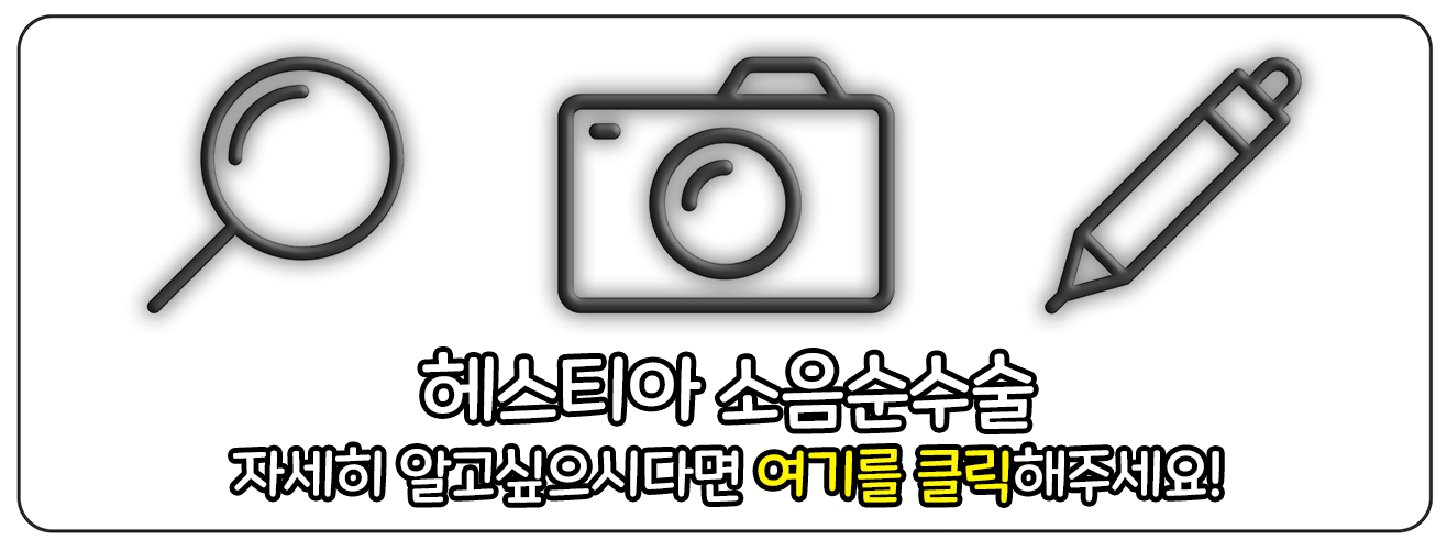 헤스티아 소음순수술 바로가기 링크