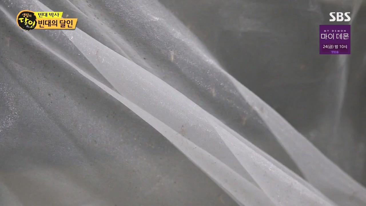 생활의 달인.E911.231114p-NEXT.mp4_20231114_201341.936.jpg