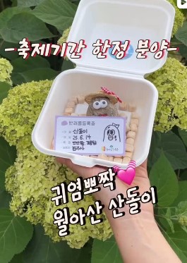 2025 진주 월아산 수국 축제
