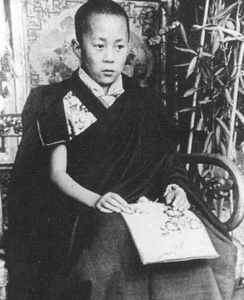 "14번의 환생, 여러분이 몰랐던 '달라이라마'의 충격적인 인생"