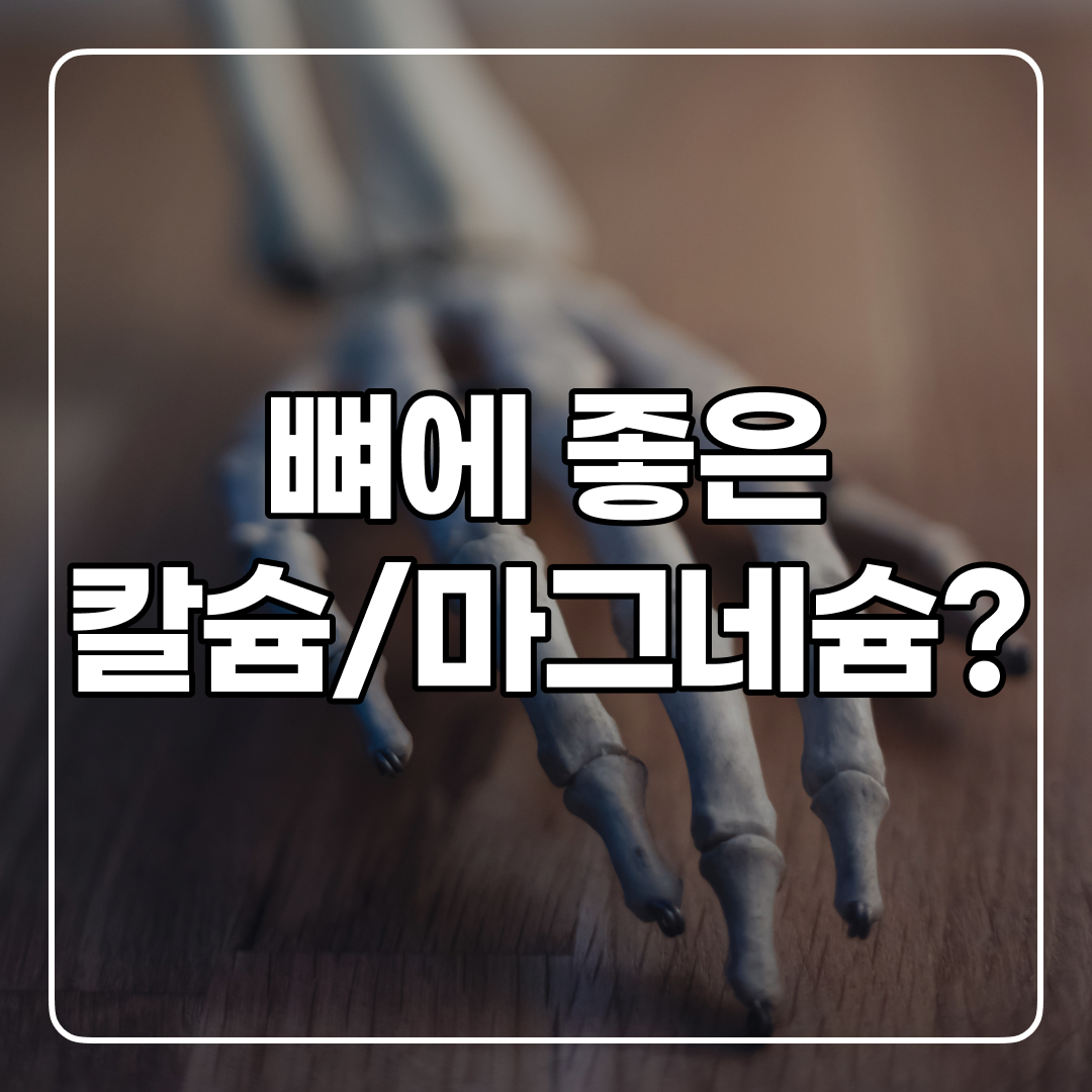  칼슘 마그네슘 : 뼈 건강을 위한 필수 미네랄