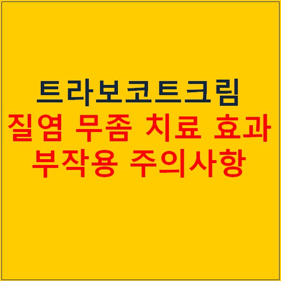 트라보코트크림 질염 무좀 정보 및 영양제 추천