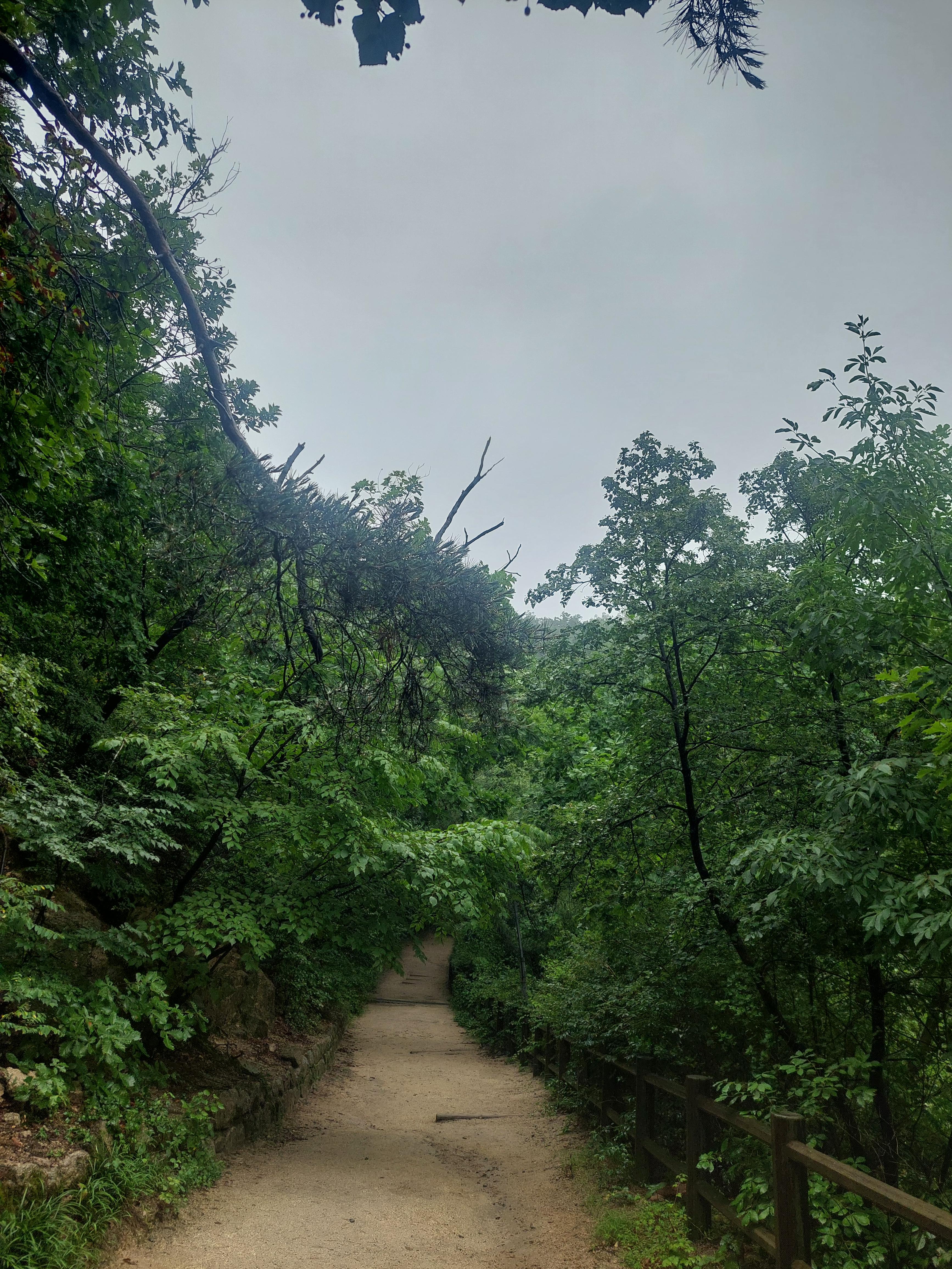 남산매봉산