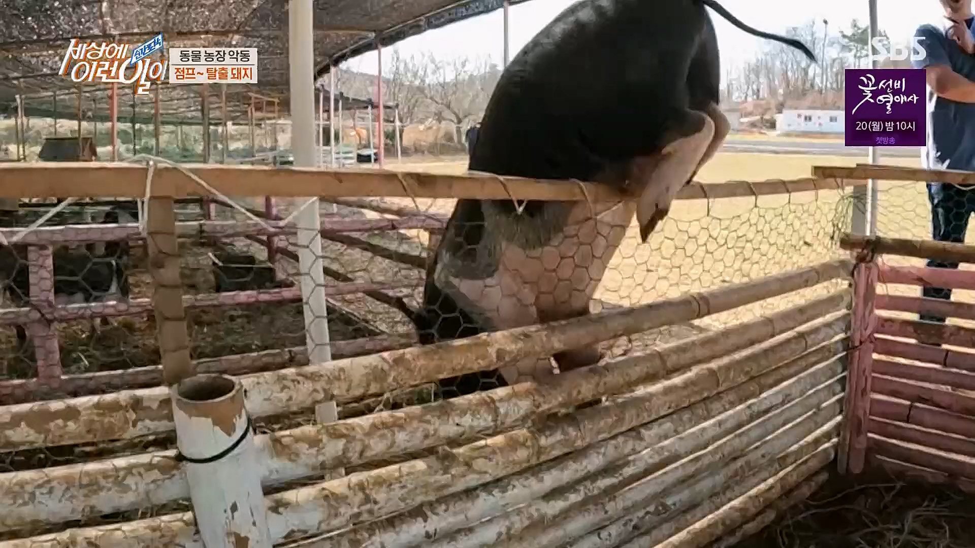 순간포착 세상에 이런일이.E1221.230314p.H264-F1RST.mp4_20230315_141004.496.jpg