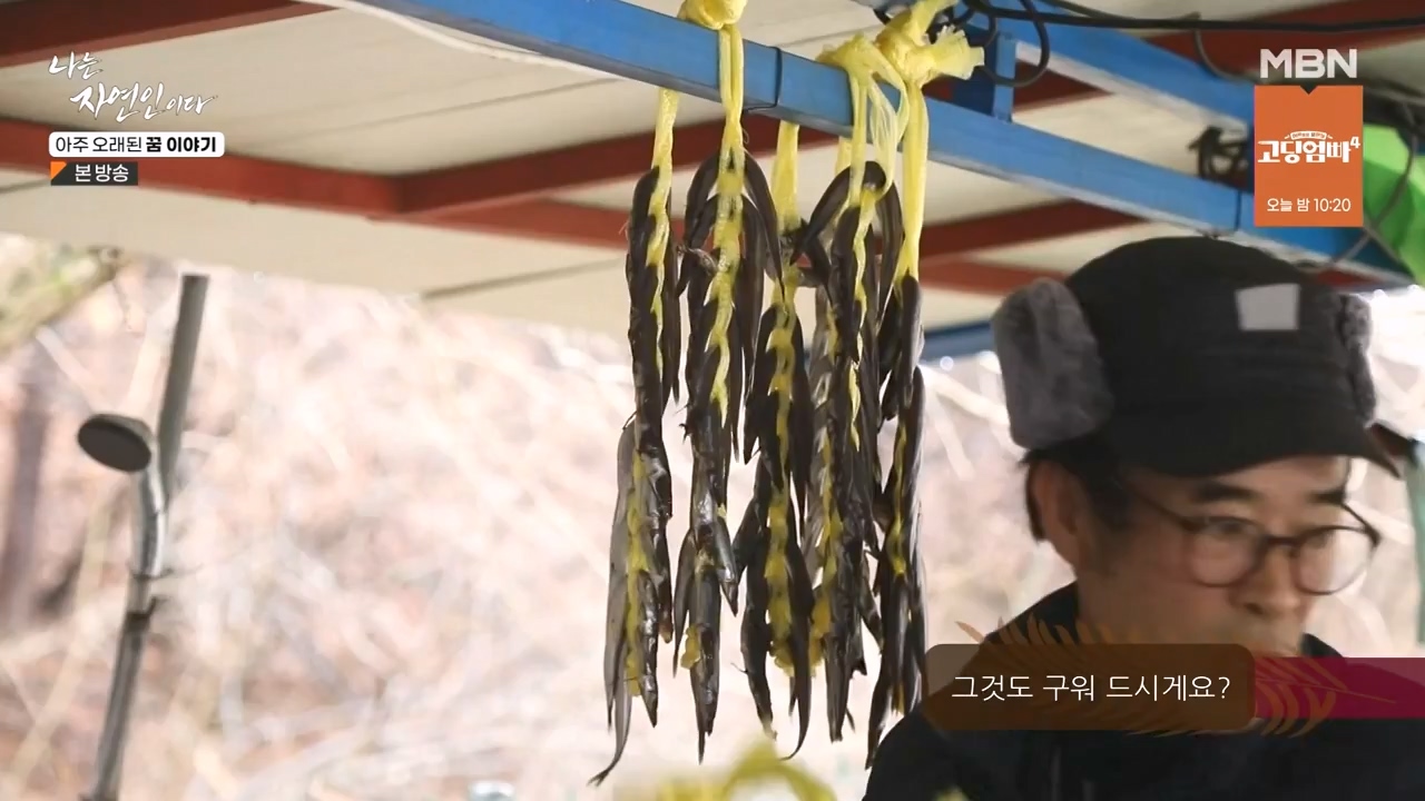 나는 자연인이다.E594.240222p-NEXT.mp4_20240222_195341.274.jpg