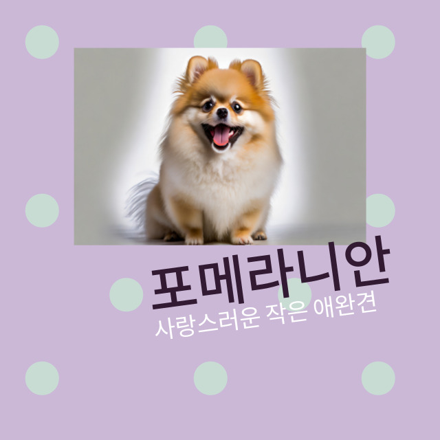 포메라니안