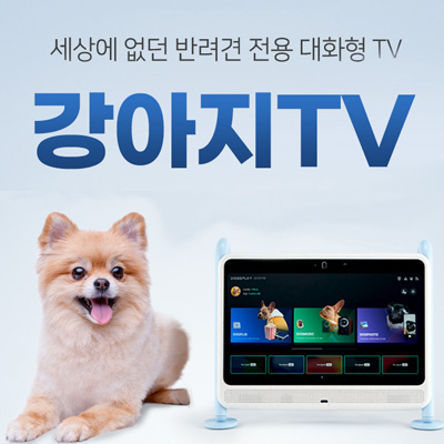 강아지-TV