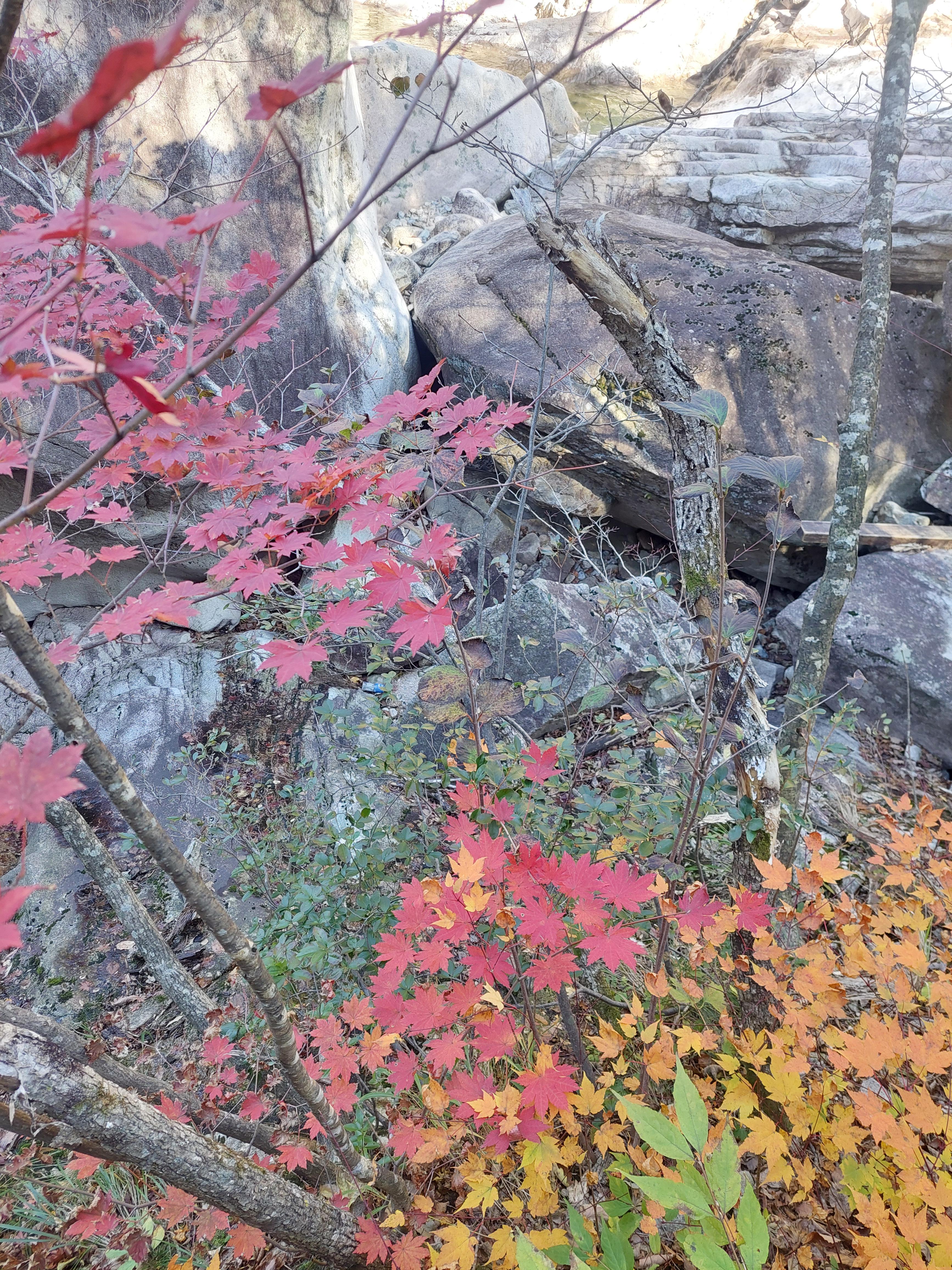 설악산