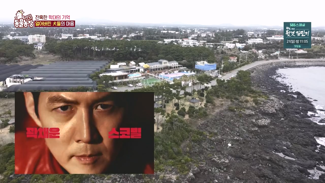 TV 동물농장.E1167.240415p-NEXT.mp4_20240414_160935.801.jpg