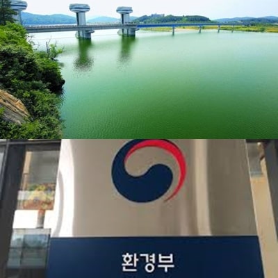  해마다 바뀌는 4대강 녹조의 원인, 도대체 왜 그럴까?