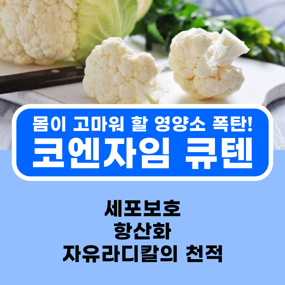  코큐텐 직구 영양제 전세계 판매량 탑5 비교 추천 및 효능과 부작용