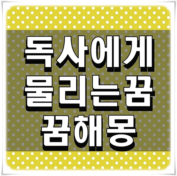  독사에게물리는꿈 꿈해몽 알고 싶은 부분들 확인하기