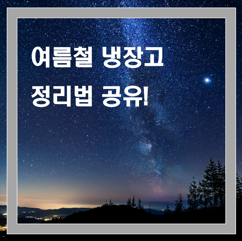 여름철 냉장고 정리법, 음식 보관 기준까지 완벽 정리