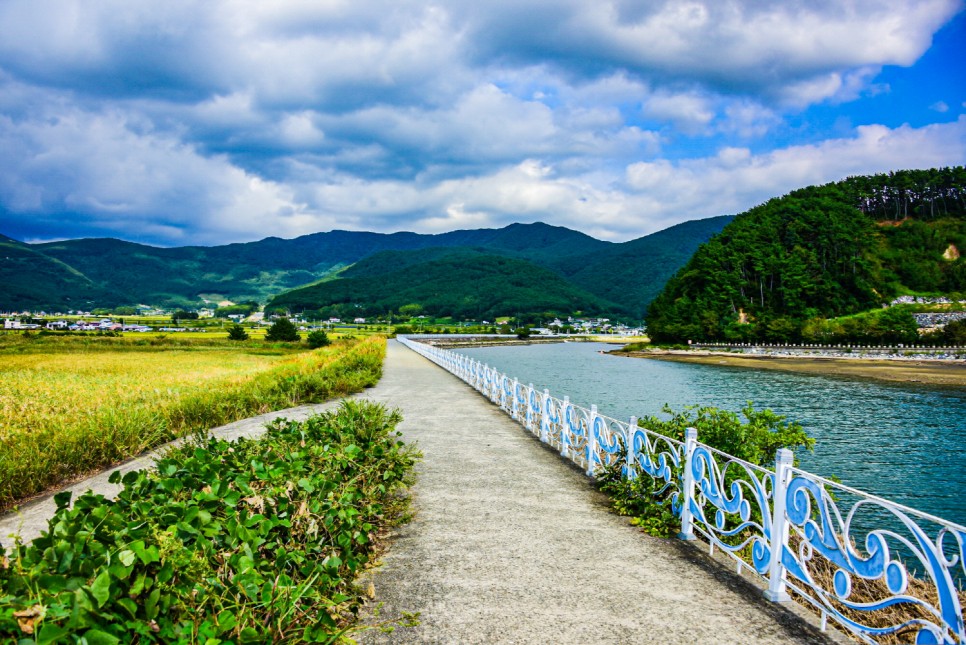 거제 오수마을 갈대밭 가을이 찾아온 6