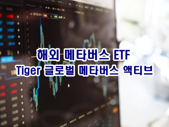 ‘Tiger 글로벌 메타버스 액티브 ETF’는 환헤지를 하지 않습니다.