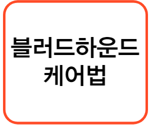 블러드하운드 케어법&#44; 관리법