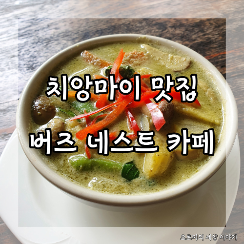  치앙마이 버즈 네스트 카페 그린커리 Chiangmai Bird's Nest Cafe
