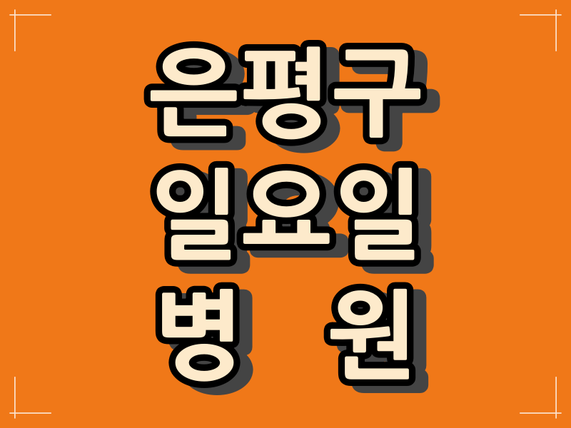  서울시 은평구 일요일 병원과 일요일 진료시간.