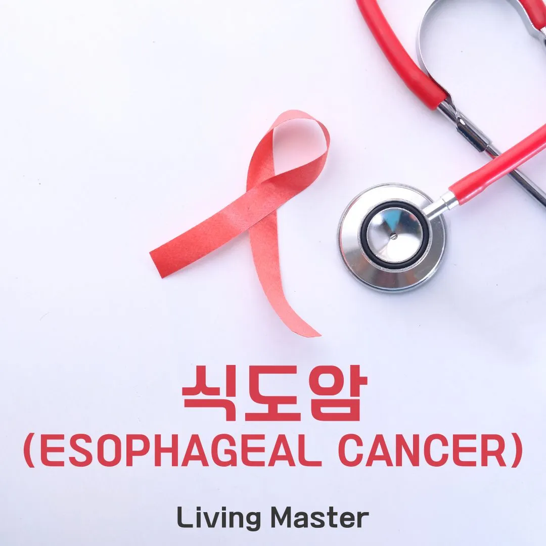 식도암(Esophageal Cancer):