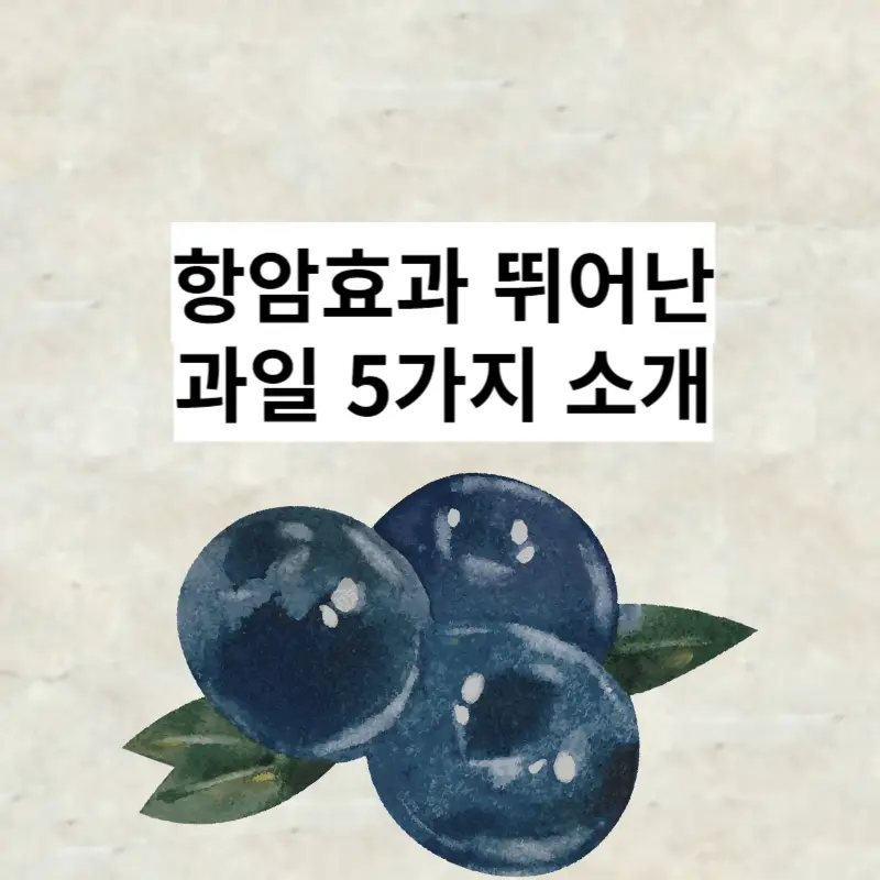 항암효과 블루베리