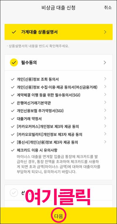 카카오뱅크 비상금대출 약관동의