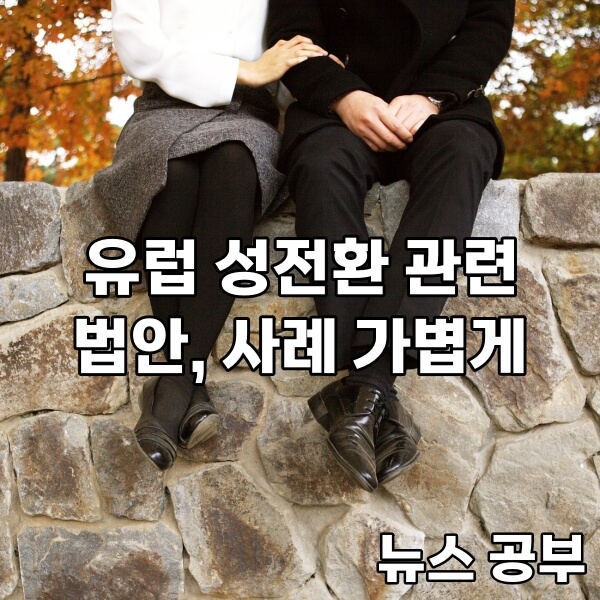 뉴스 공부 - 유럽 성전환 관련 법안 사례 가볍게