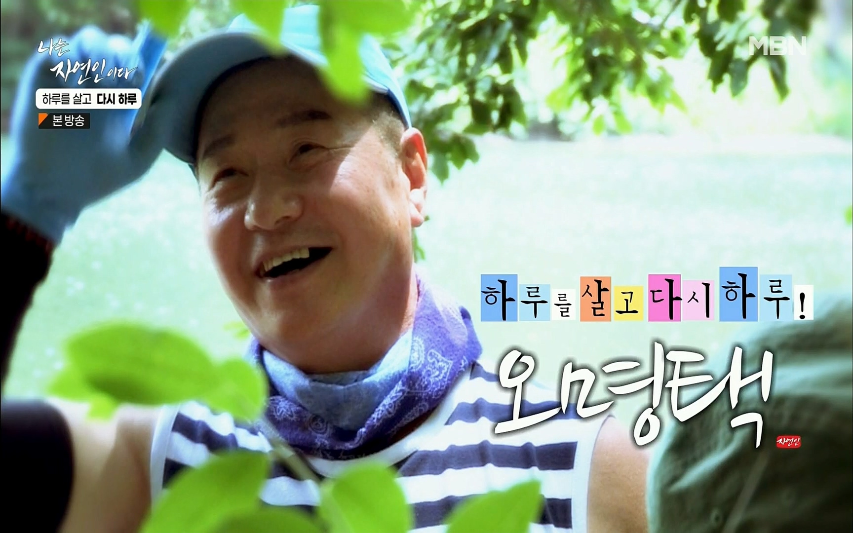 나는 자연인이다.E509.220706p.H264-F1RST.mp4_20220707_181021.255.jpg