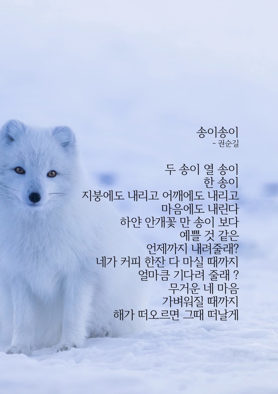송이송이 이미지
