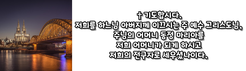 천주교 성모 성월 기도문_성월 기도