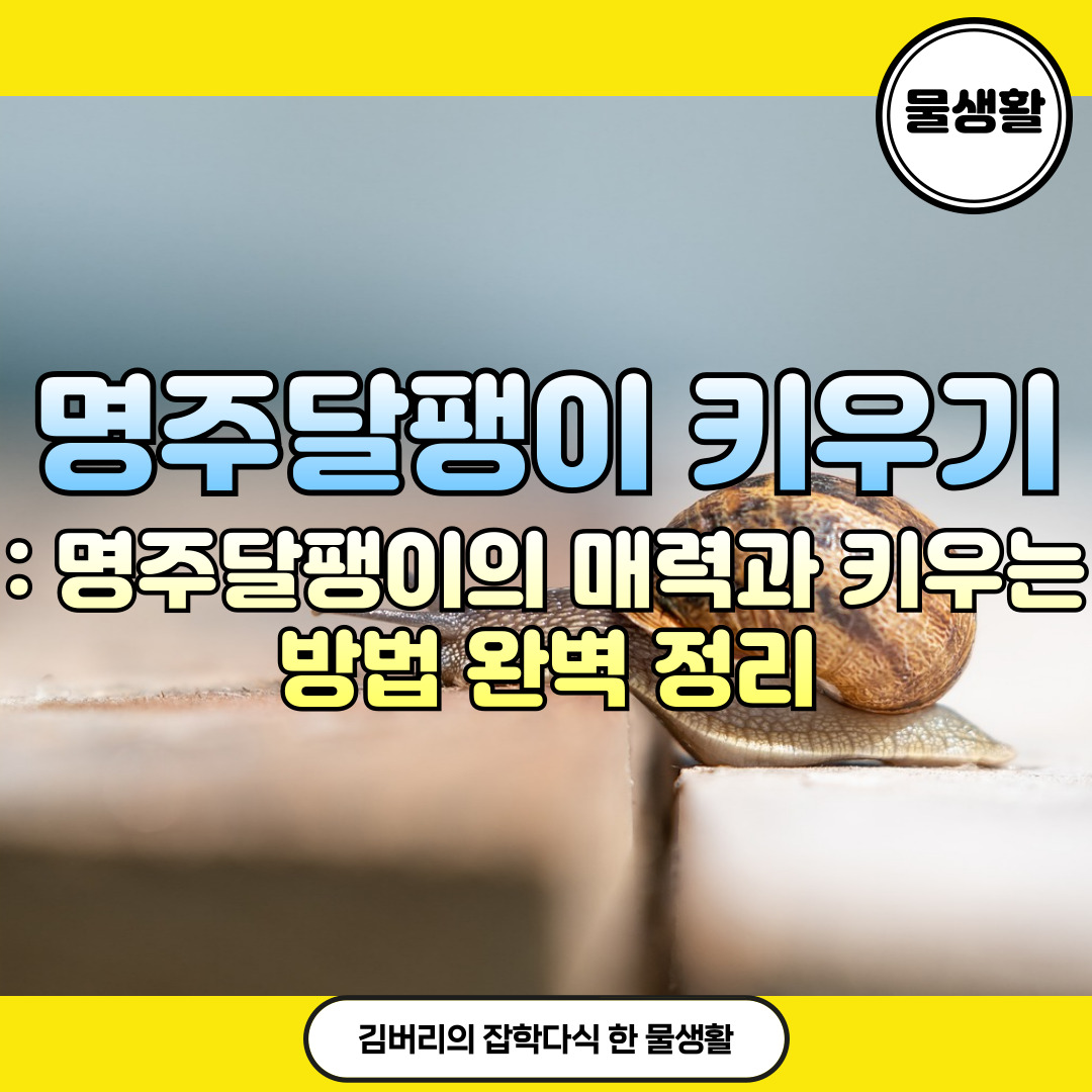 명주달팽이 키우기