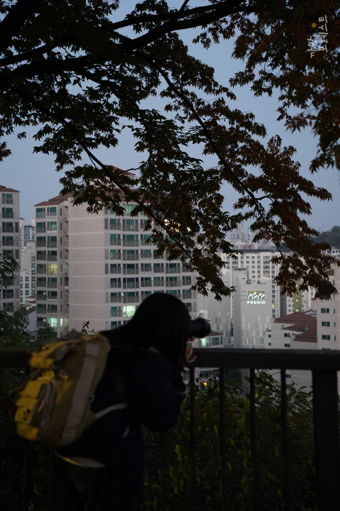 달맞이봉 공원 사진작가