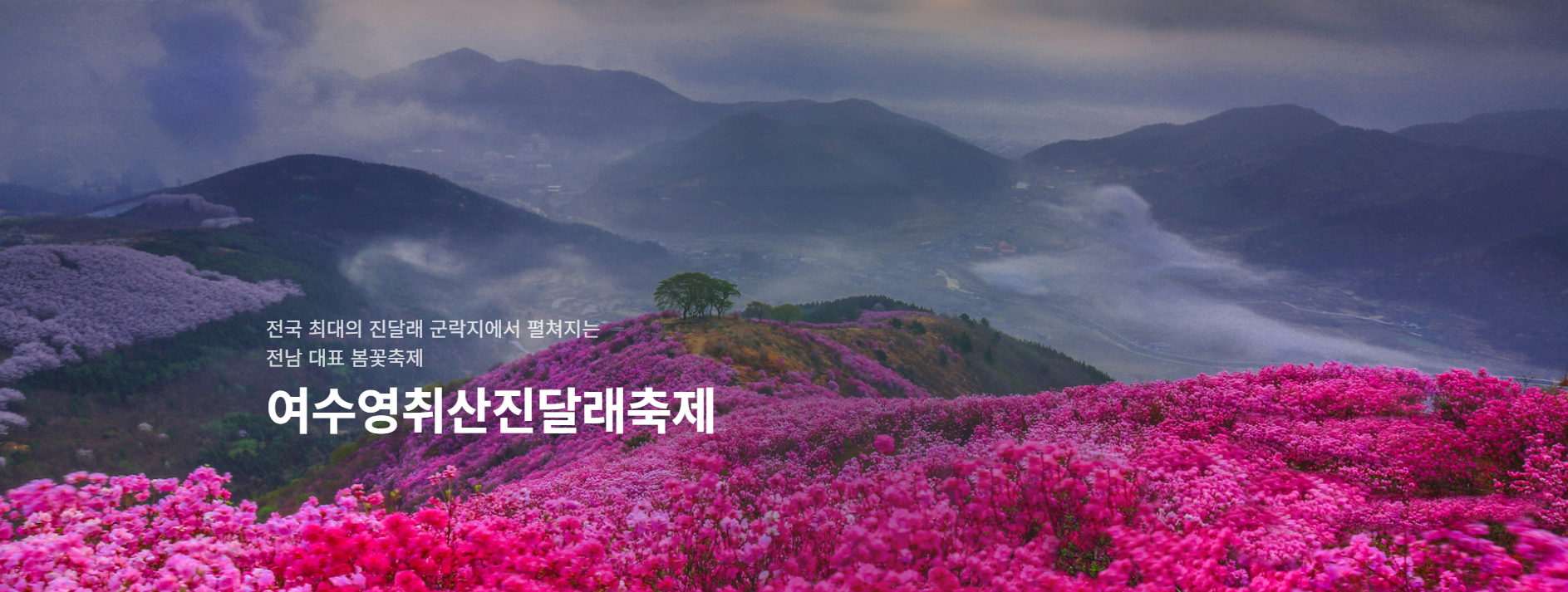 영취산 진달래 축제 개요 1