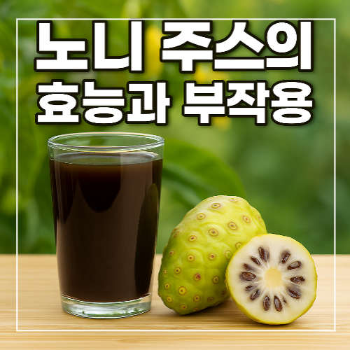 노니 주스의 효능과 부작용, 하루 적정 섭취량 썸네일 이미지